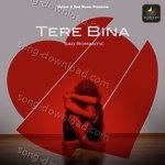 Tere Bina - Gufy Song Download